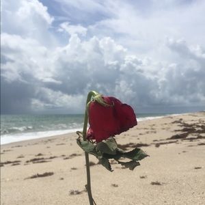 Meet your Posher, Alanna